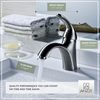 Anzzi Clavier Single-Handle Mid-Arc Bathroom Faucet in Brushed Nickel L-AZ011BN